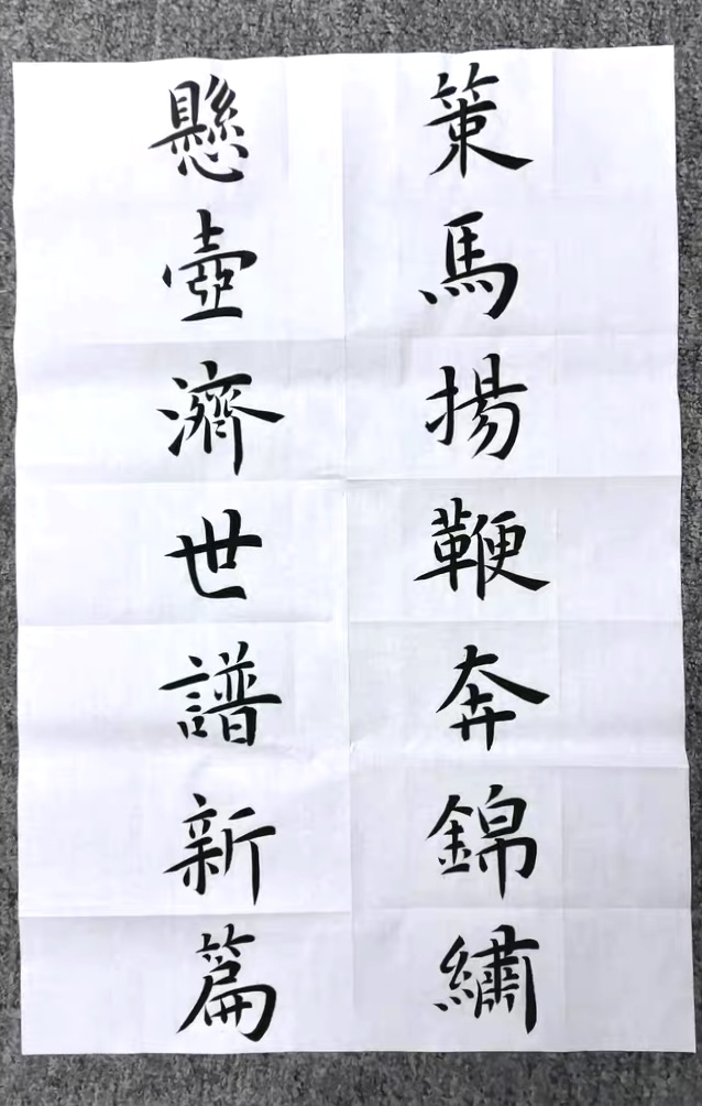 1、策马扬鞭奔锦绣，悬壶济世谱新篇-汪沄涵.jpg